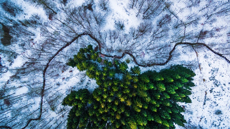 National Geographic en Dronestagram luchtfotografie wedstrijd 2016