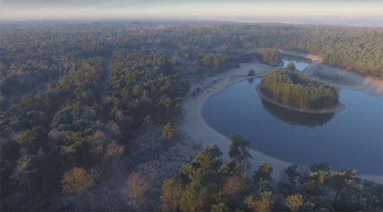 Vroege ochtendvlucht met DJI Phantom 4 bij Herperduin