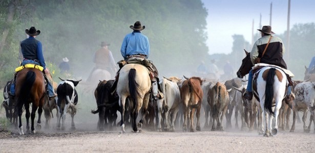 voedselvoorziening-3-cowboy-vee